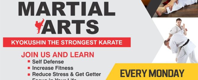 Kyokushin karate classes